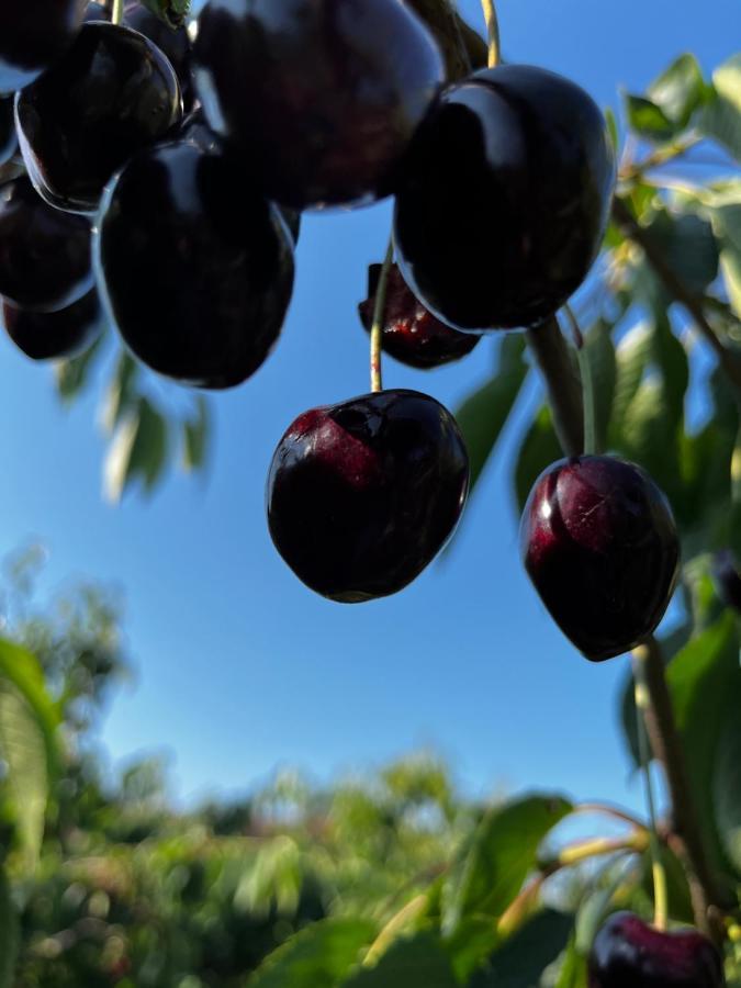 Kling Am See FDH Екстериор снимка